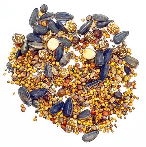 Seeds