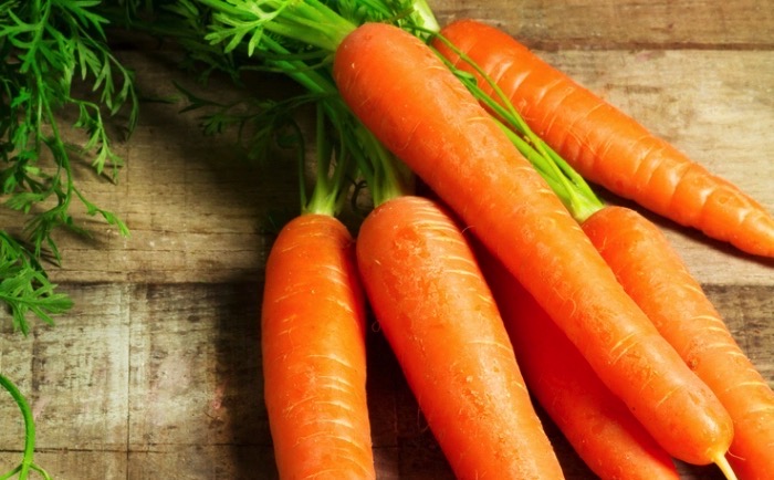 Modern carrot