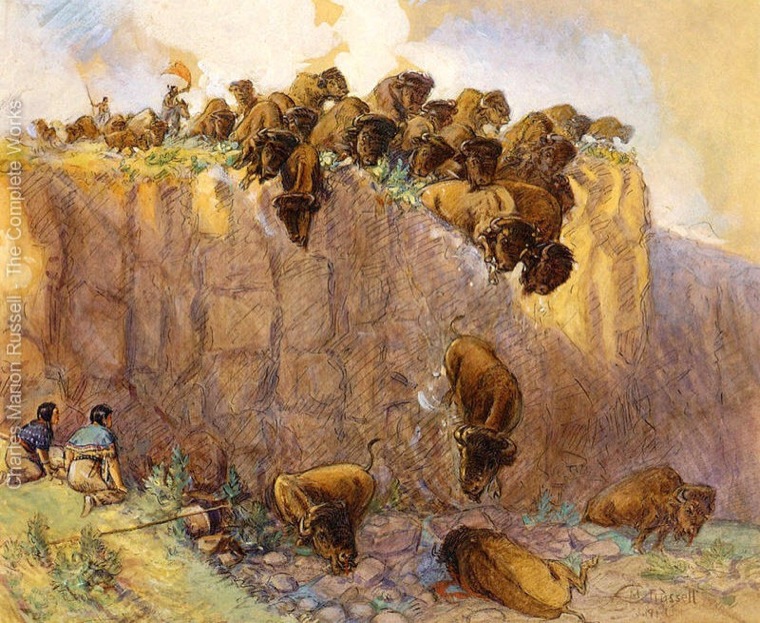 Bison at the edge of a cliff