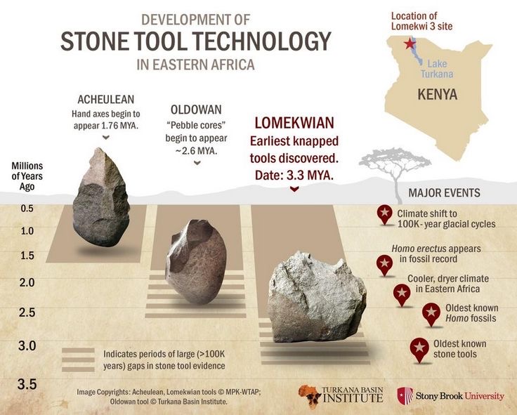 The evolution of stone tools
